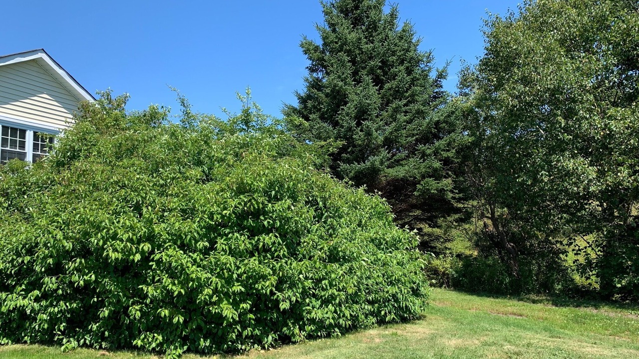 Photo of Outdoor in Head of Chezzetcook