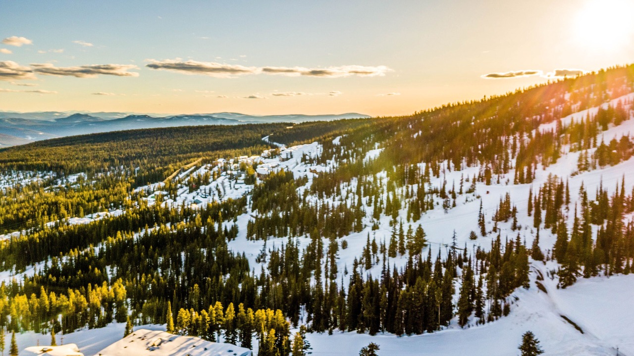 Photo of Outdoor in Snow Pine Estates