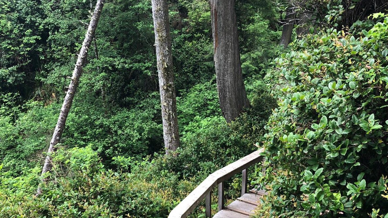 Photo of Outdoor in Sooke