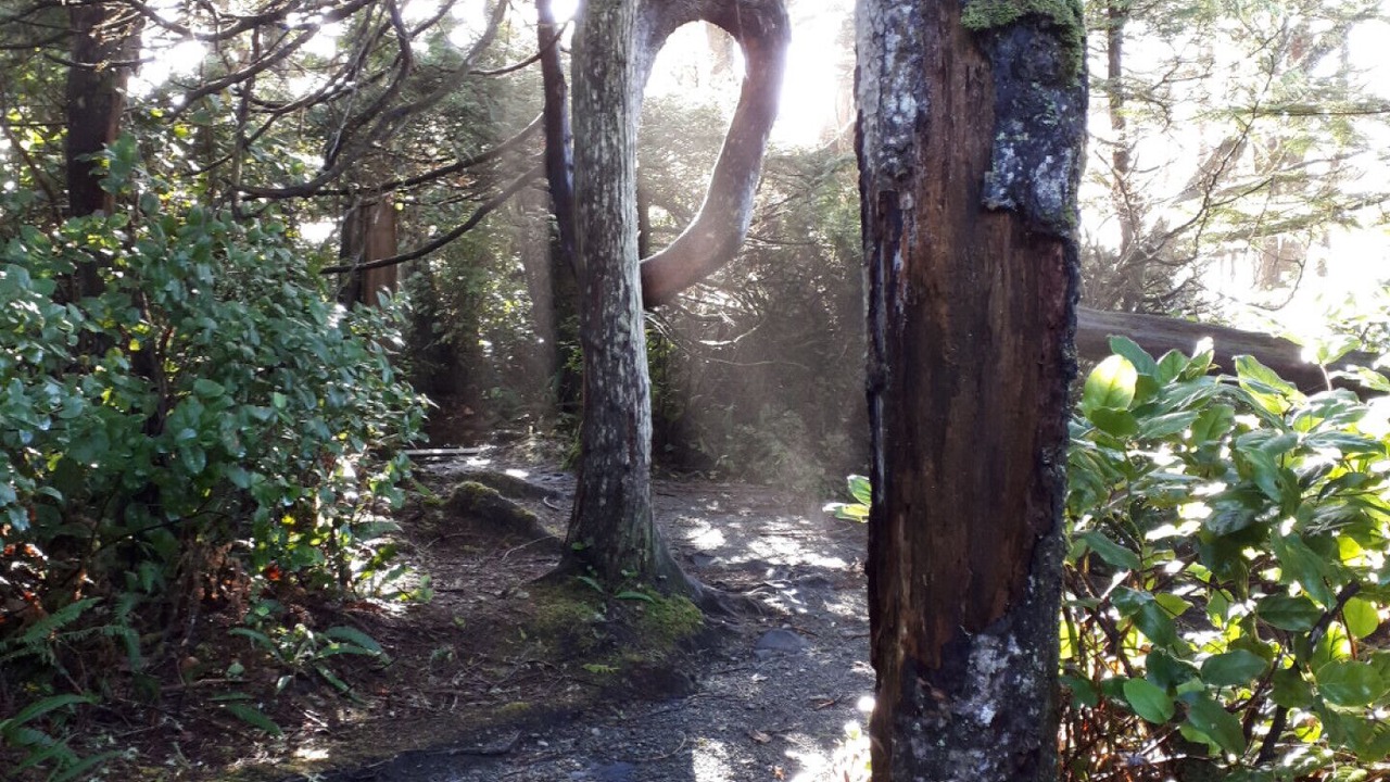 Photo of Outdoor in Sooke
