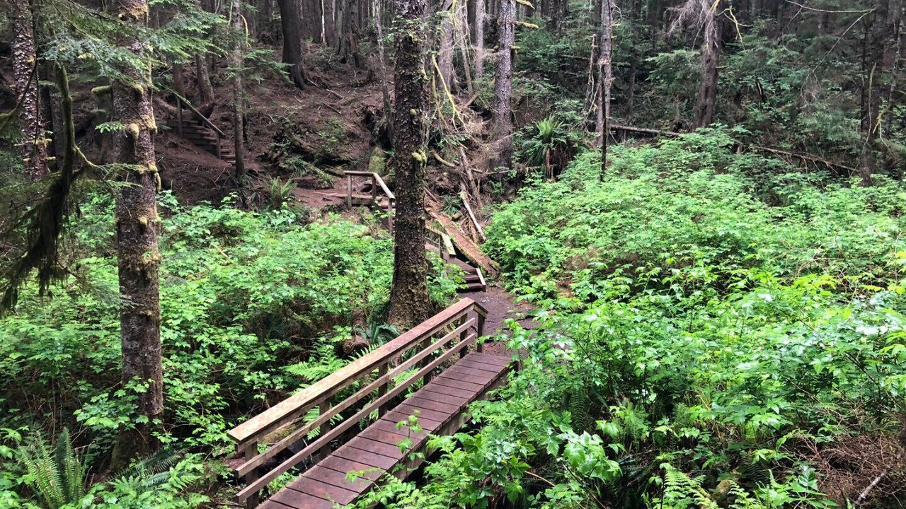 Photo of Outdoor in Sooke