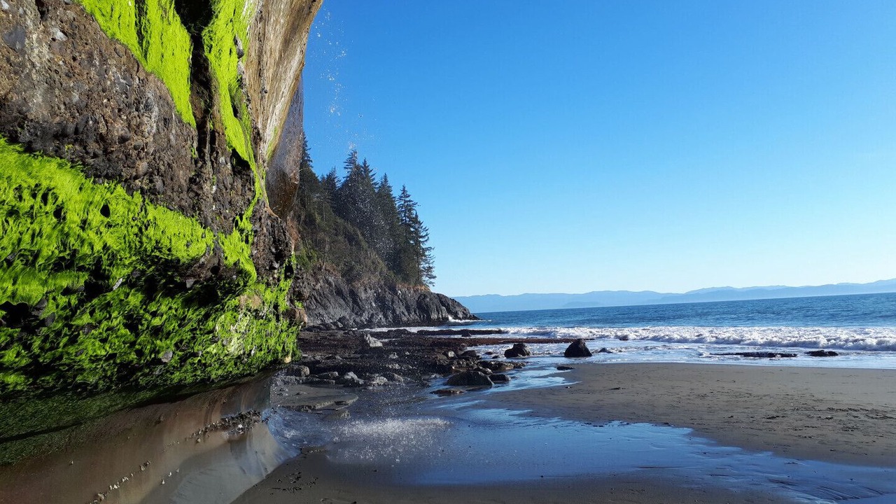 Photo of Others in Sooke