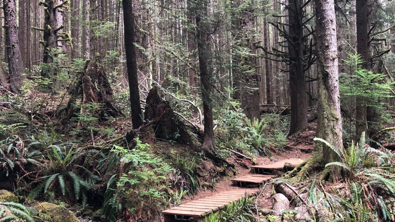 Photo of Outdoor in Sooke