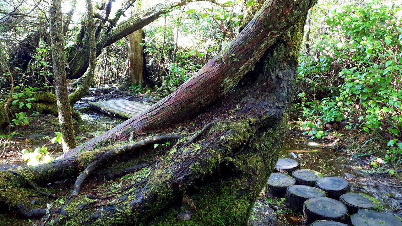 Photo of Outdoor in Sooke