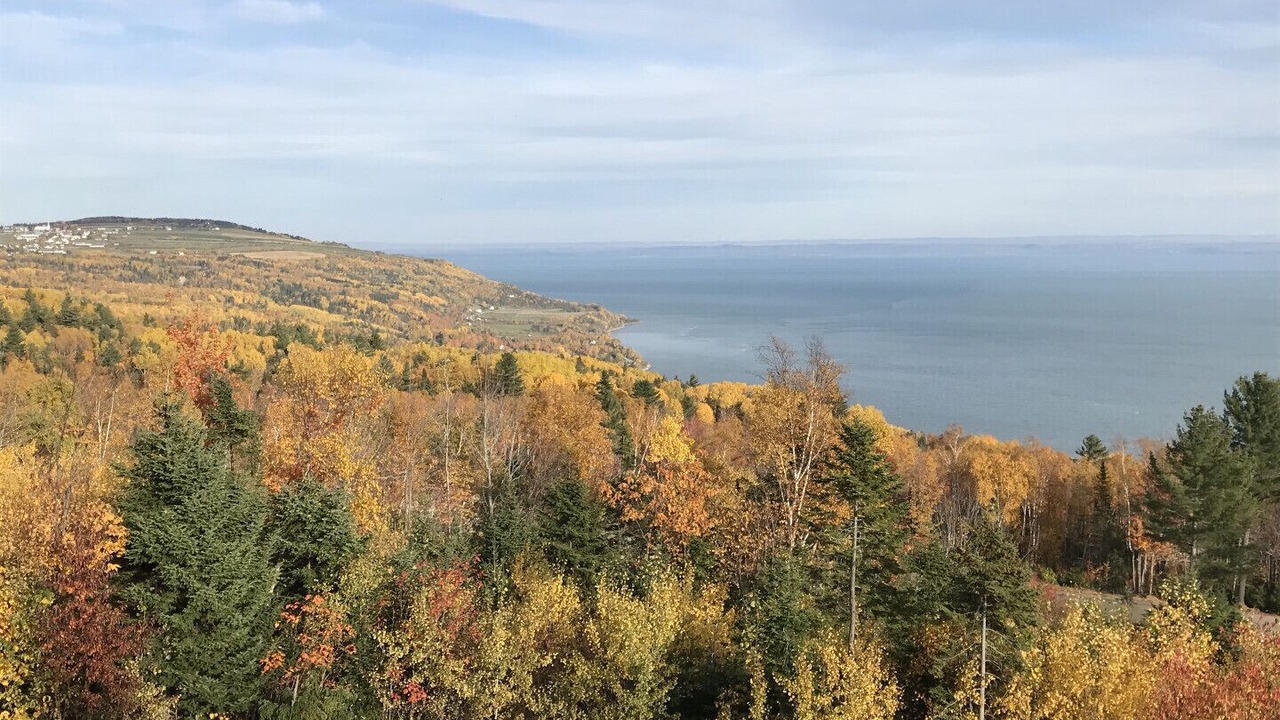 Photo of Others in Saint-Joseph-de-la-Rive