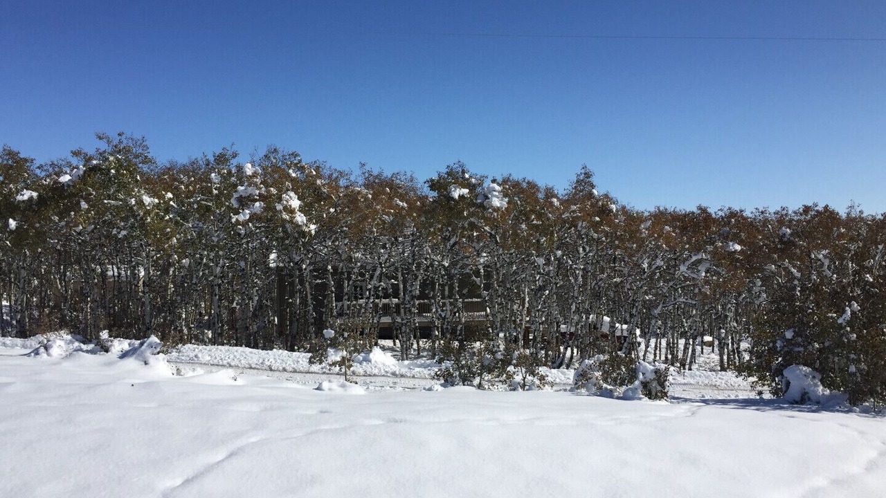 Photo of Outdoor in Beaver Mines