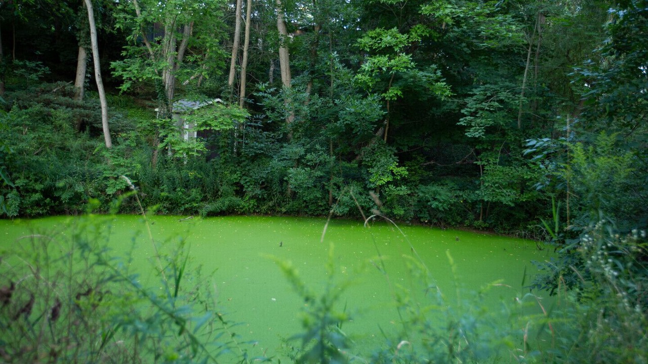 Photo of Outdoor in Louth