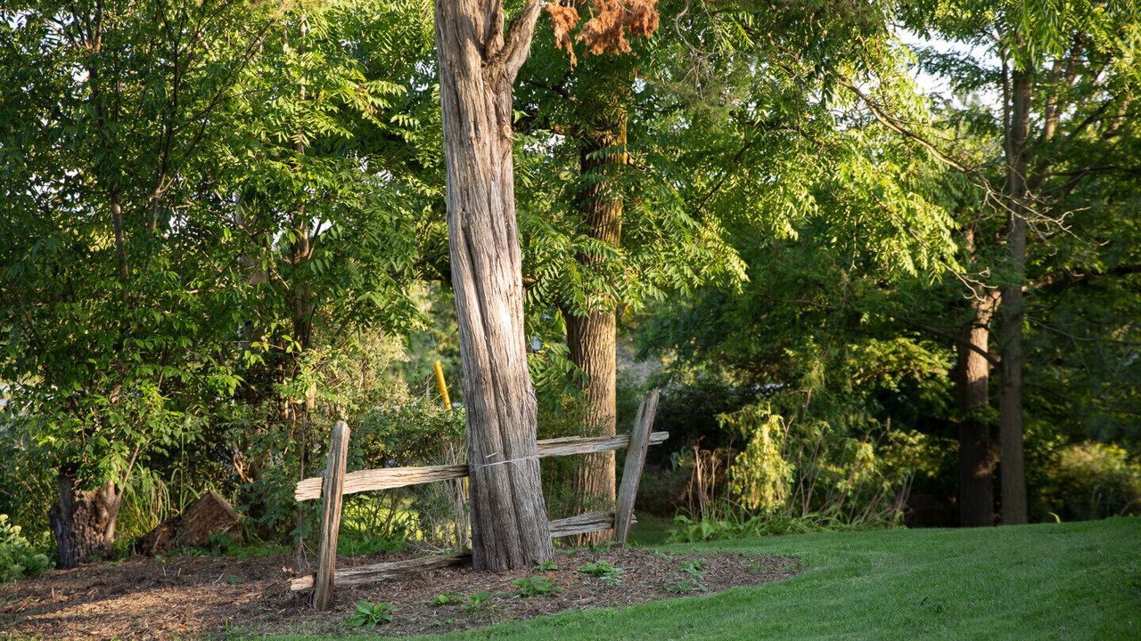 Photo of Outdoor in Louth
