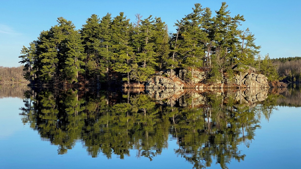 Photo of Outdoor in Tay Valley