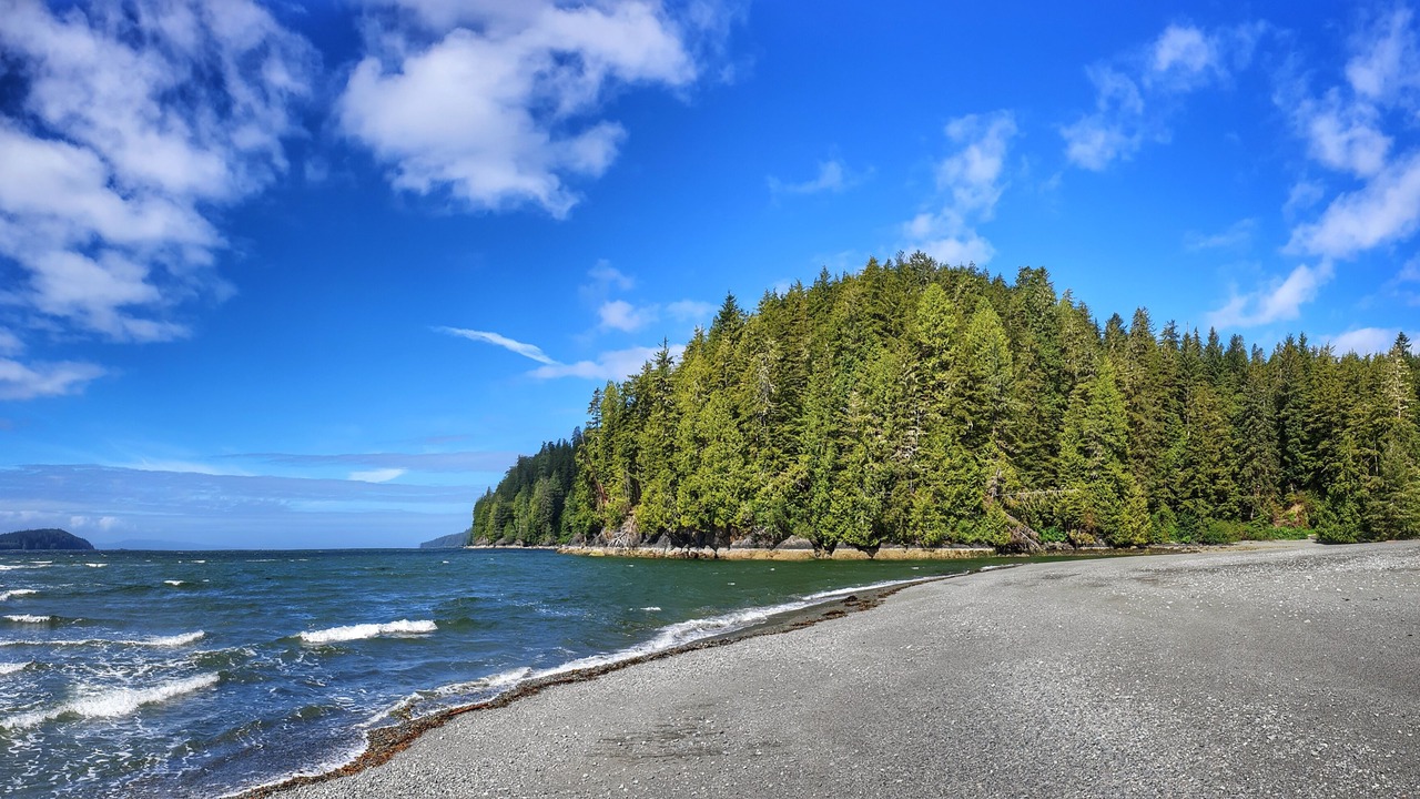 Photo of Others in Port Renfrew