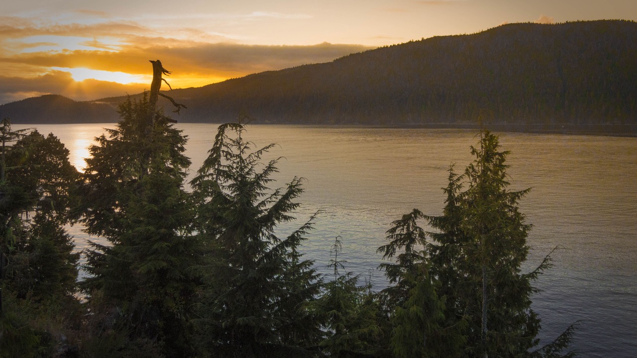 Photo of Others in Port Renfrew
