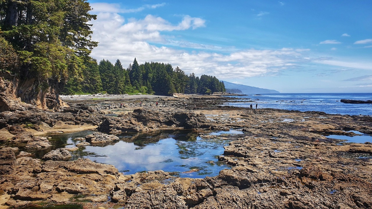 Photo of Others in Port Renfrew
