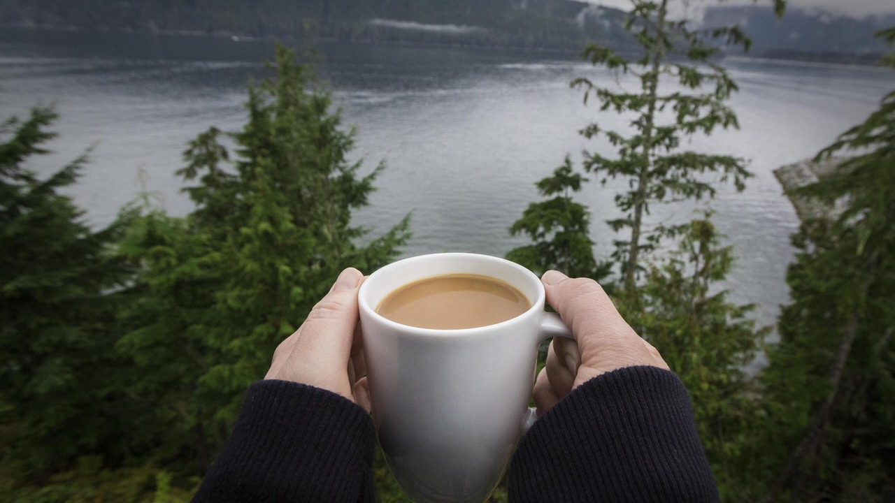 Photo of Others in Port Renfrew