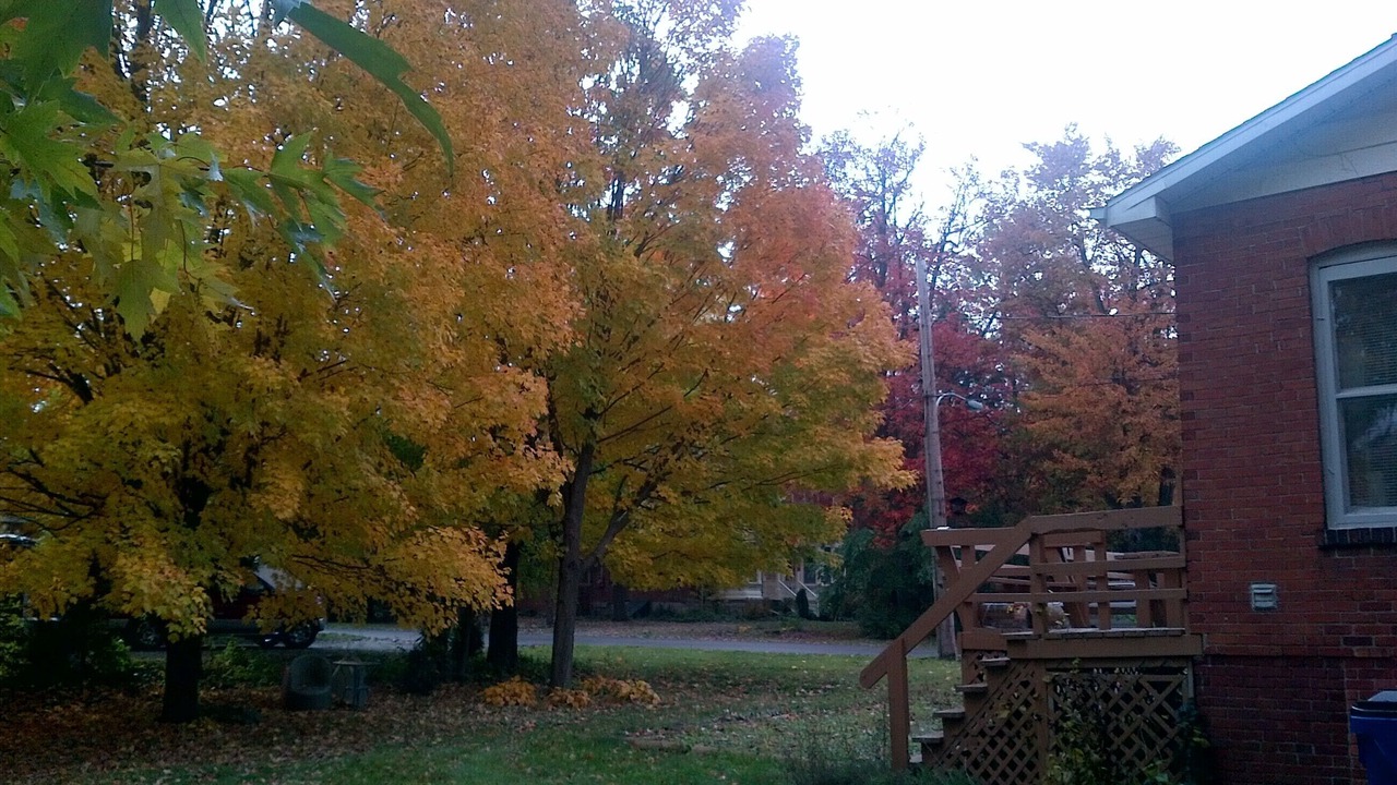 Photo of Outdoor in Ridgetown