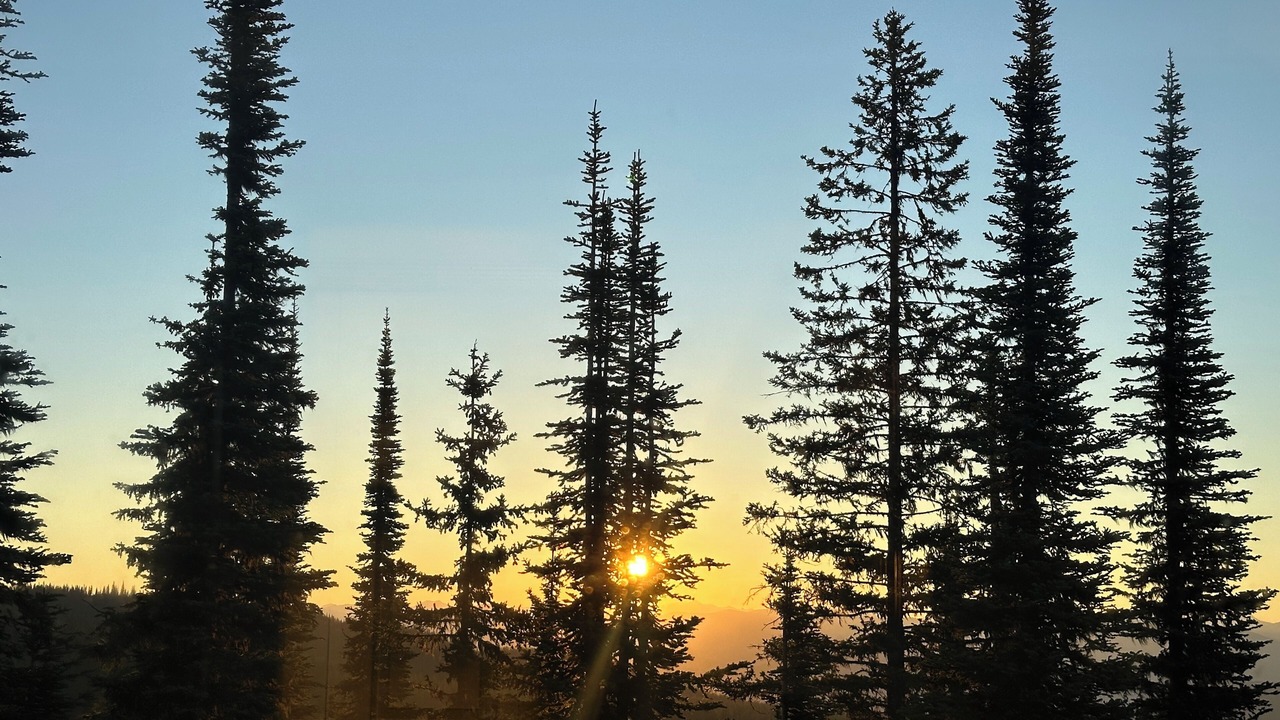 Photo of Others in Silver Star Mountain