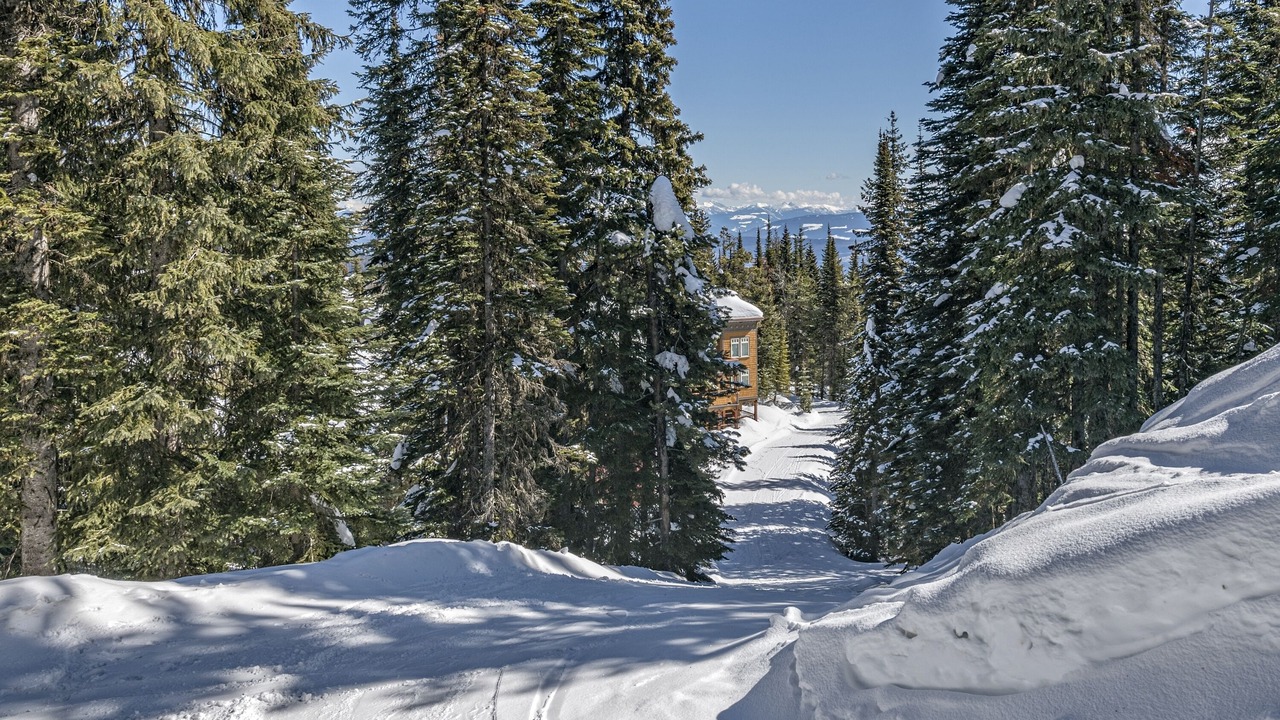 Photo of Others in Silver Star Mountain