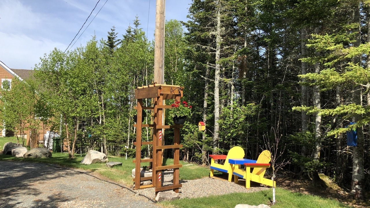 Photo of Others in Head of Jeddore