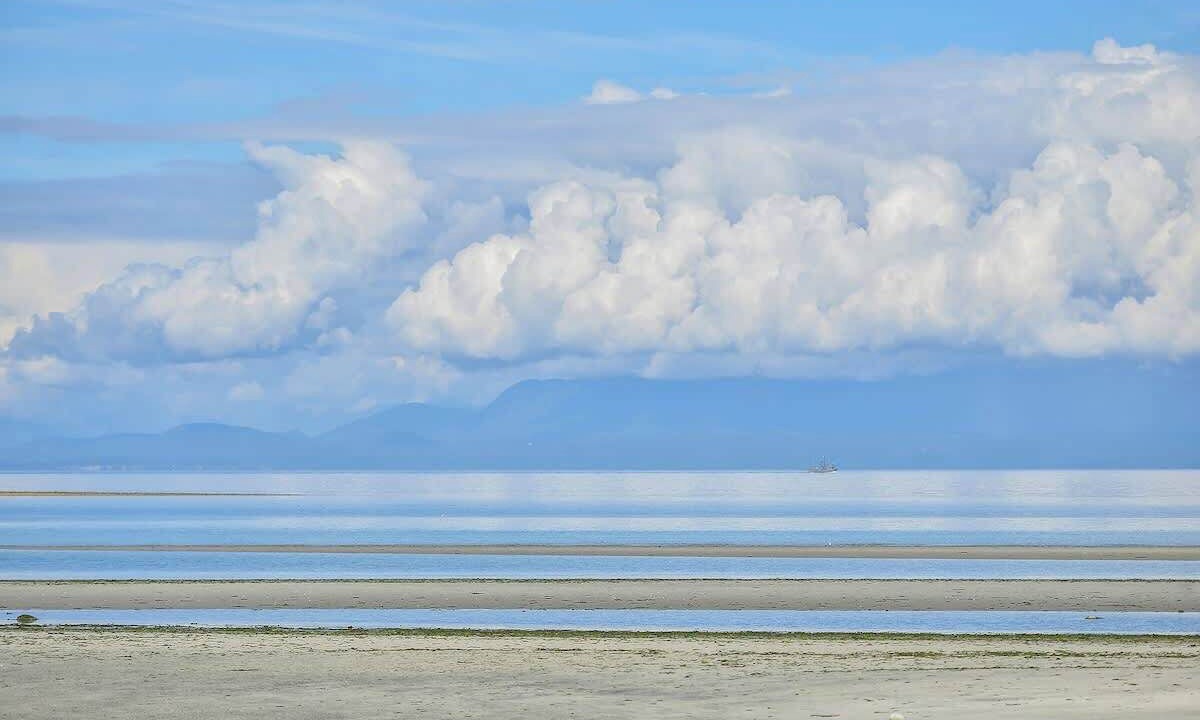 Photo of Others in Comox