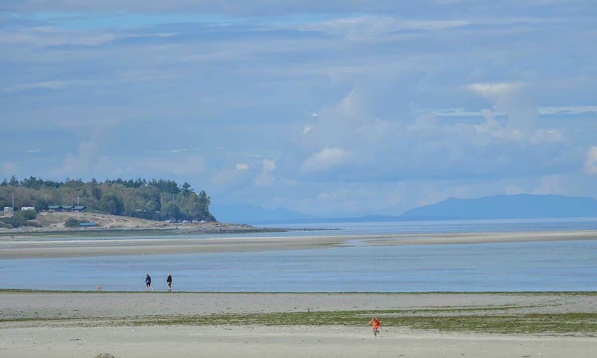 Photo of Others in Comox