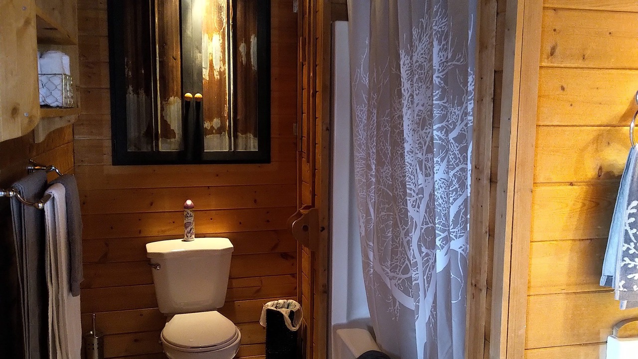 Photo of Bathroom in Clinton