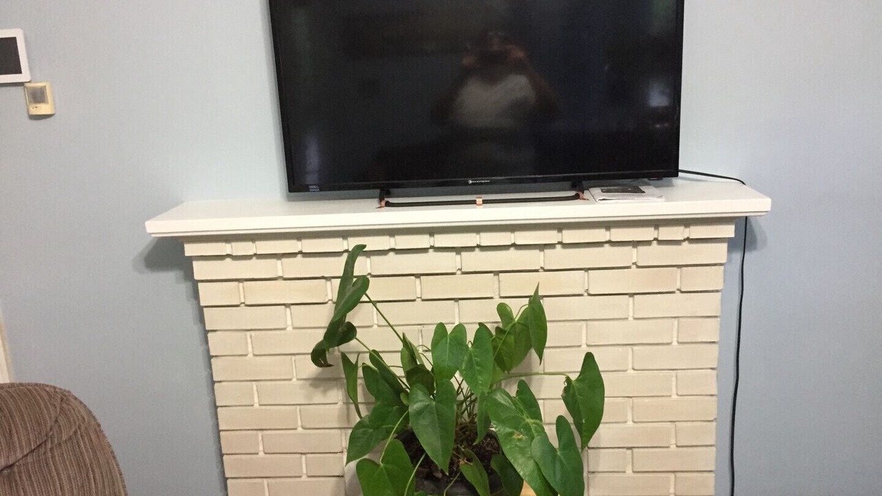 Photo of Livingroom in North End
