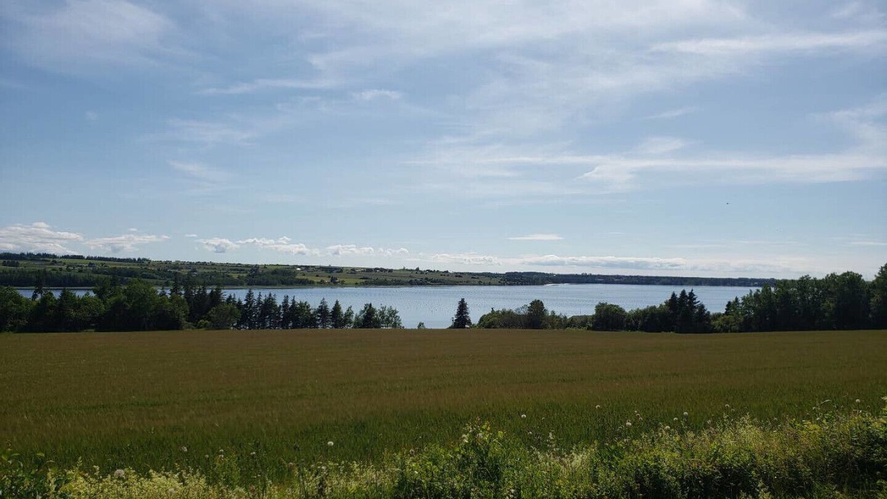 Photo of Others in Saint Peters Bay