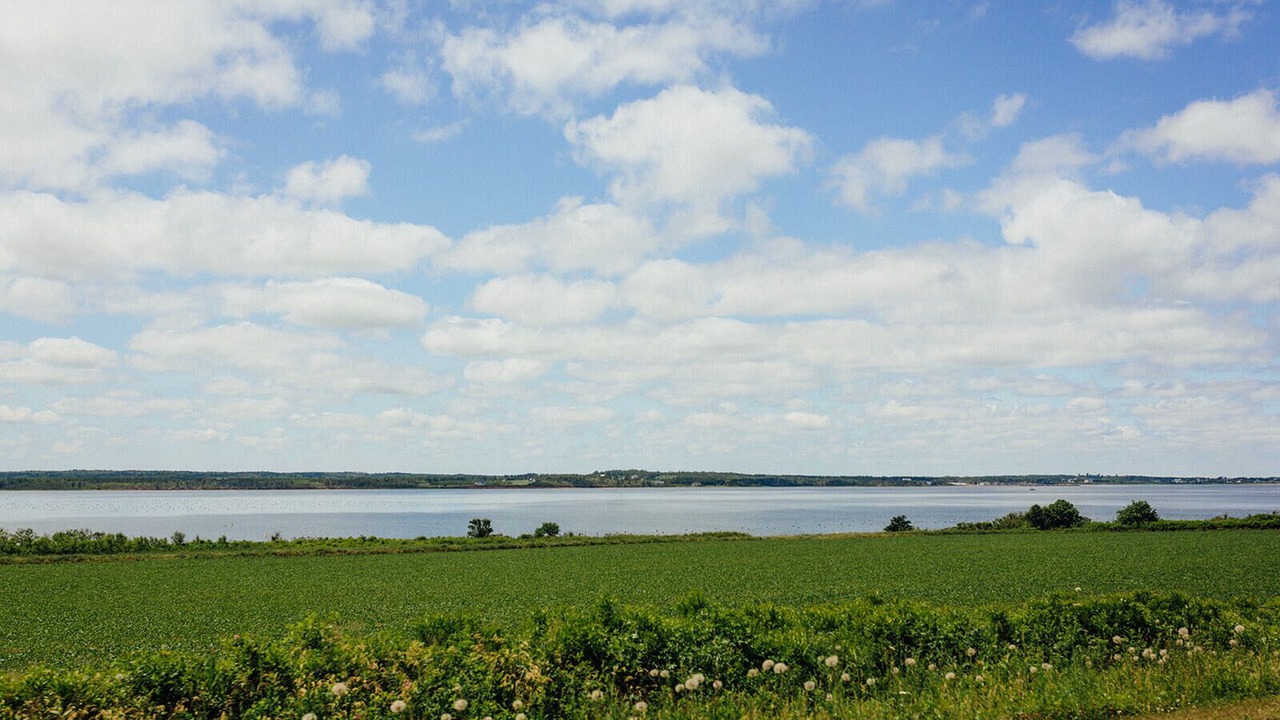 Photo of Others in Saint Peters Bay