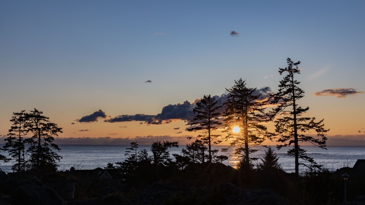 Photo of Others in Ucluelet