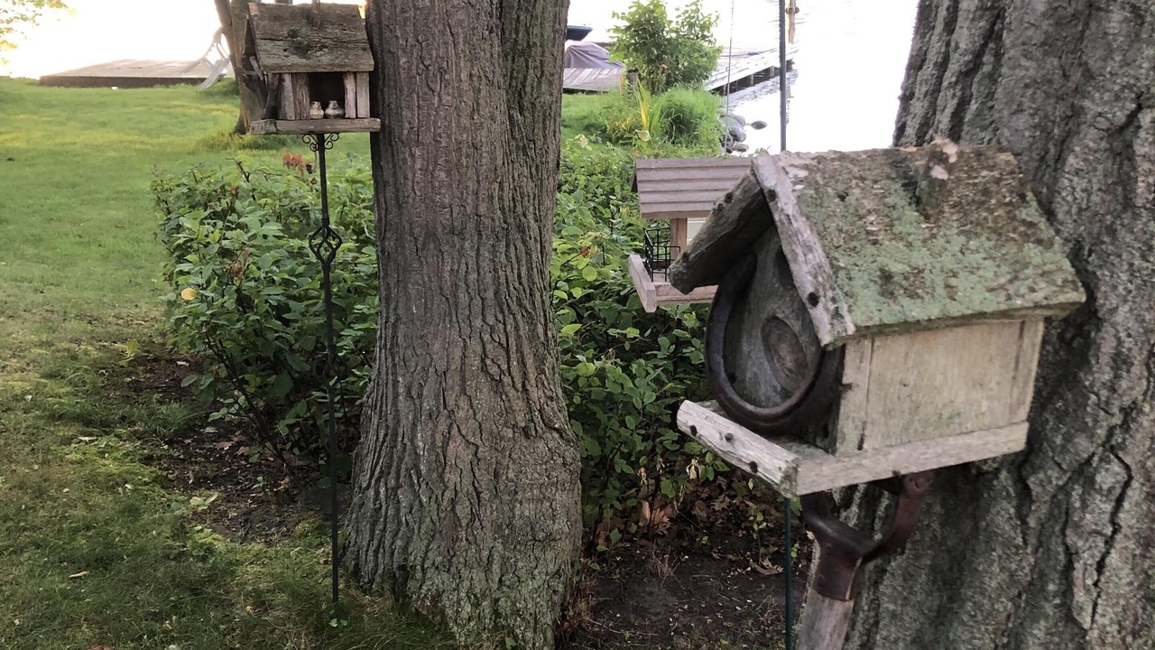 Photo of Outdoor in Gores Landing