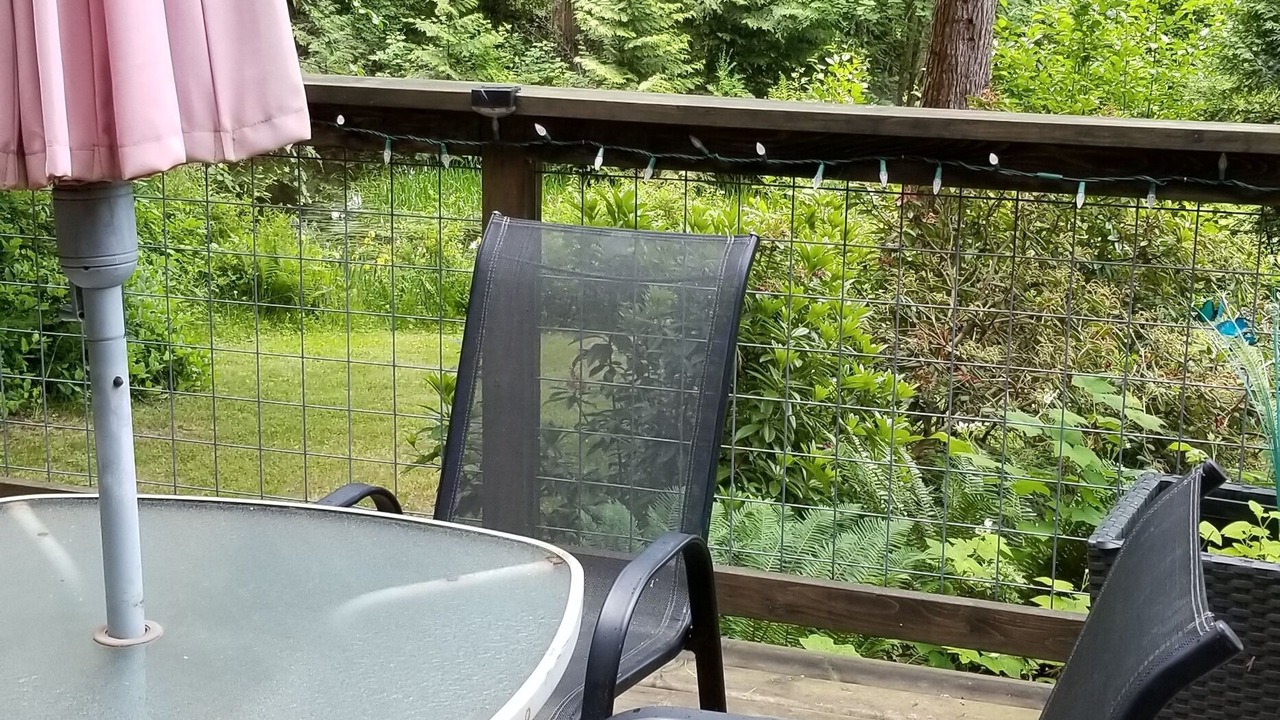 Photo of Outdoor in Roberts Creek