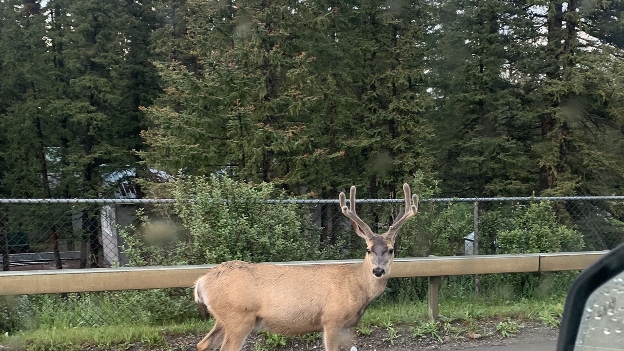 Photo of Others in Bragg Creek