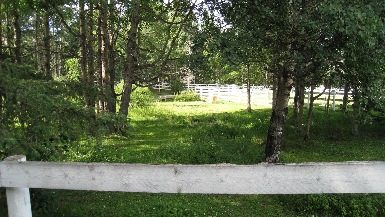 Photo of Others in Bragg Creek