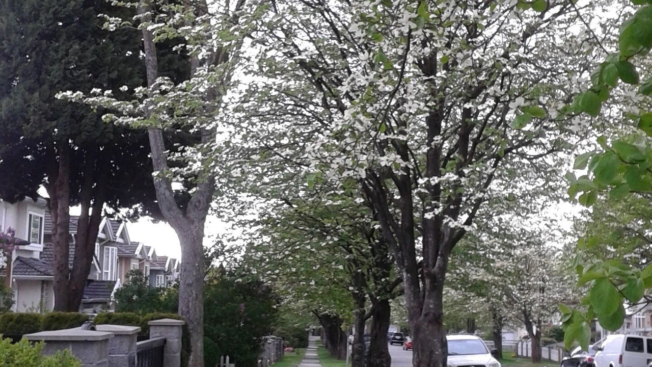 Photo of Outdoor in Killarney