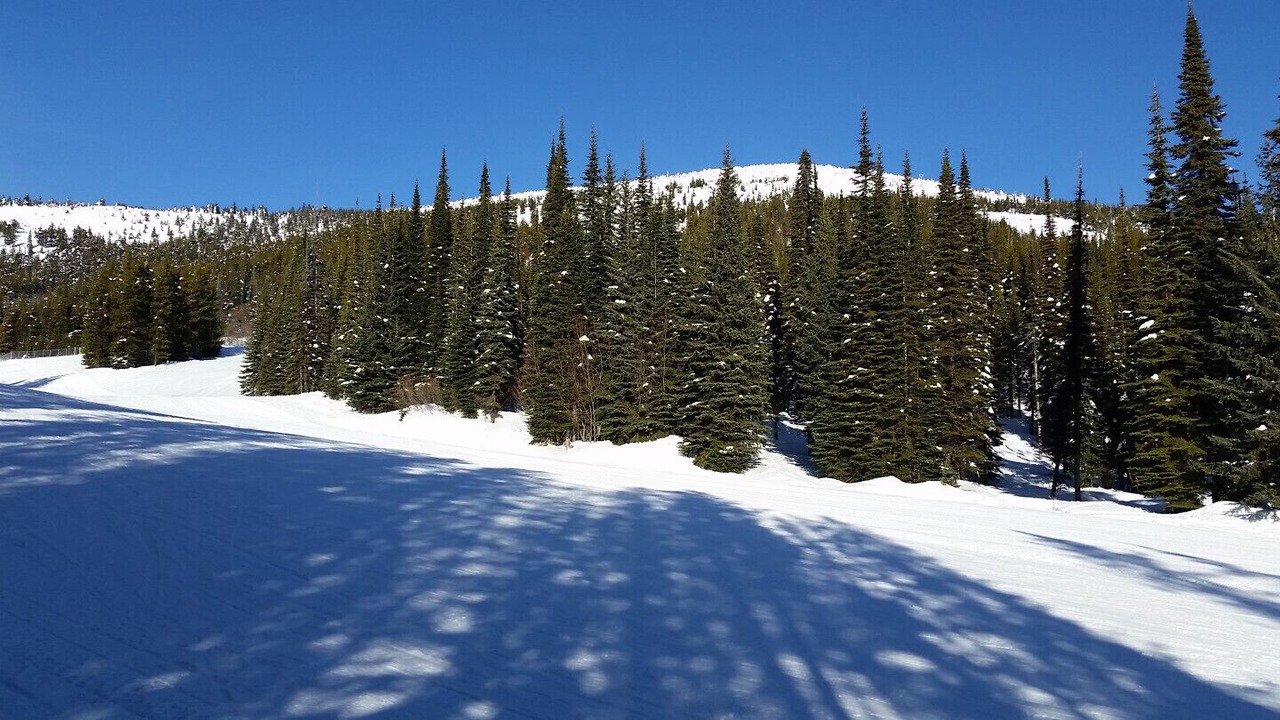 Photo of Others in Mount Baldy