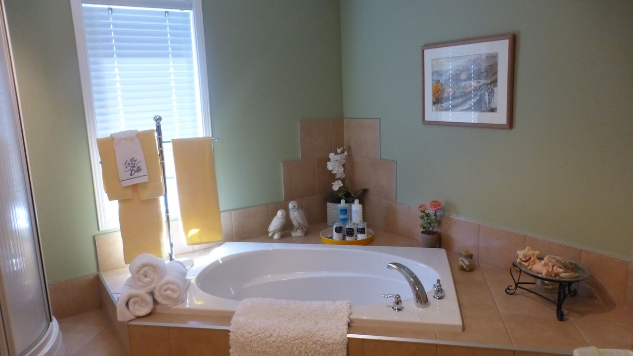 Photo of Bathroom in Saint Irenee