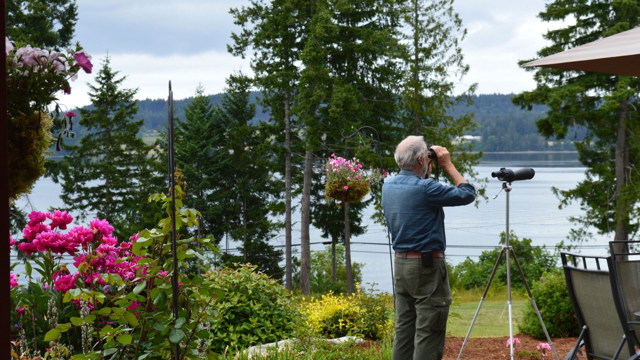 Photo of Others in Union Bay