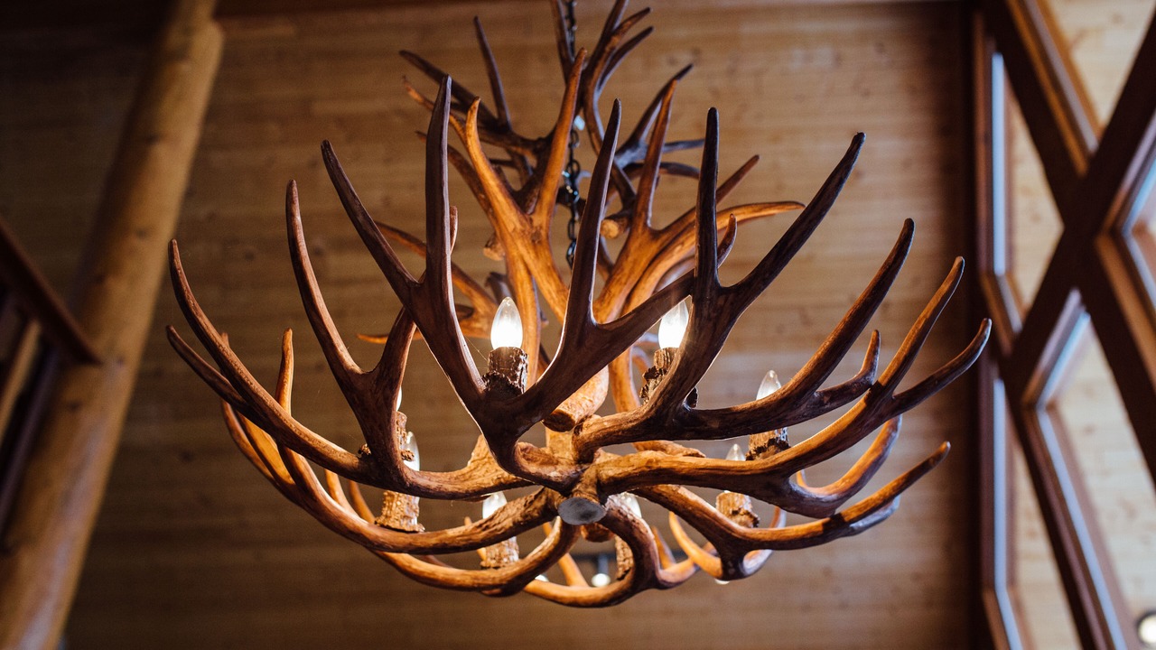 Photo of Others in Rossland