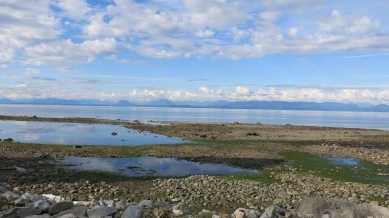 Photo of Others in Courtenay