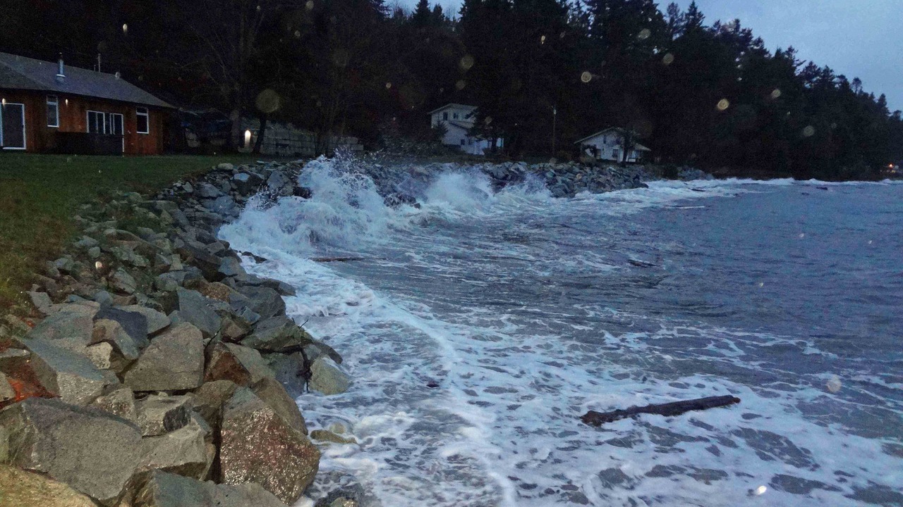 Photo of Others in Courtenay