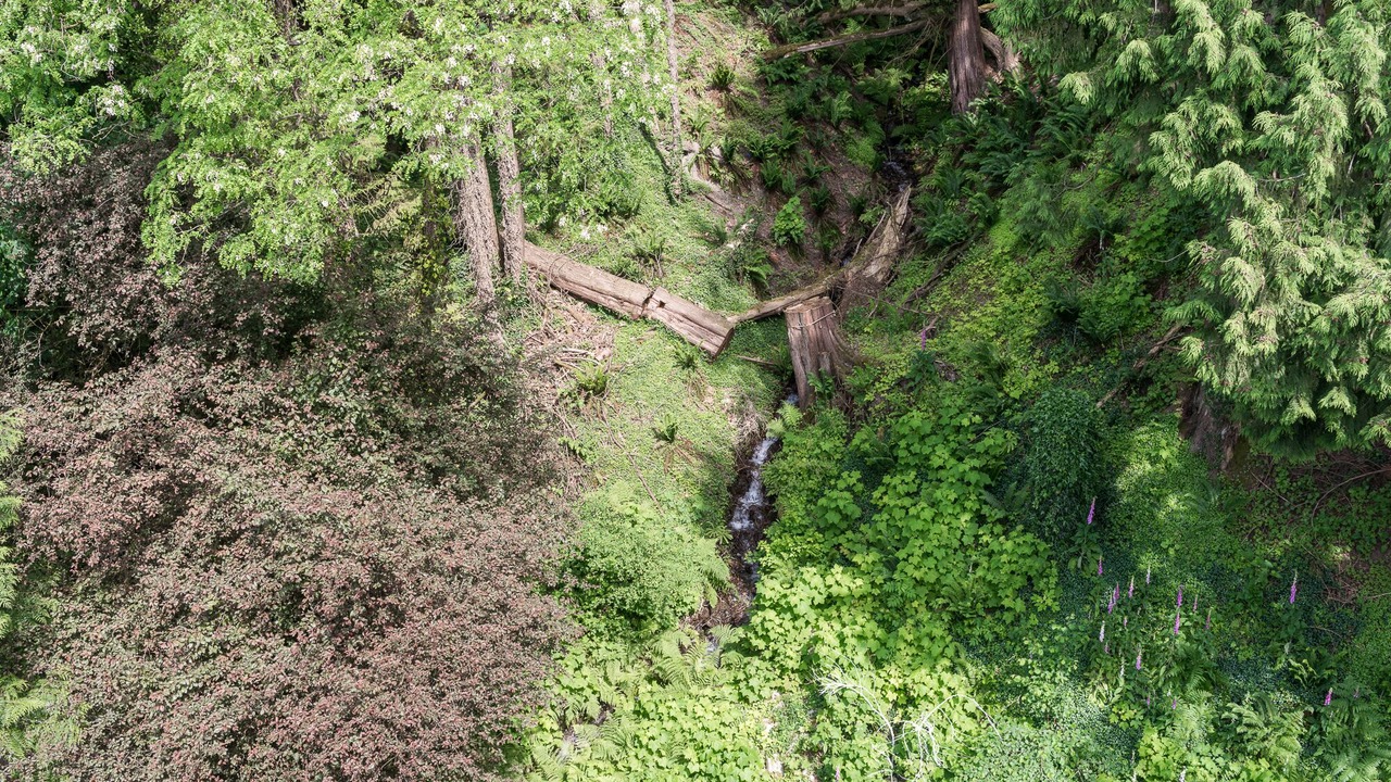 Photo of Others in Sumas Prairie