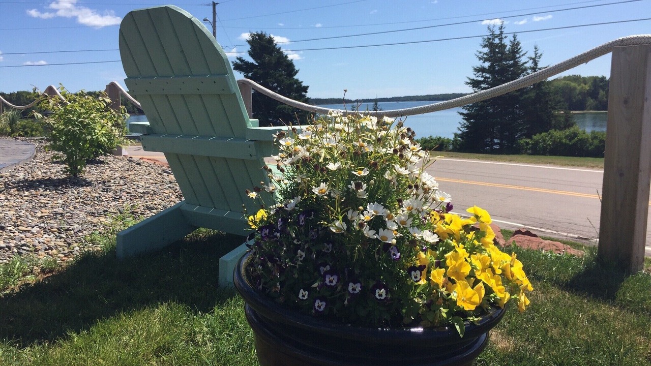 Photo of Outdoor in Cardigan