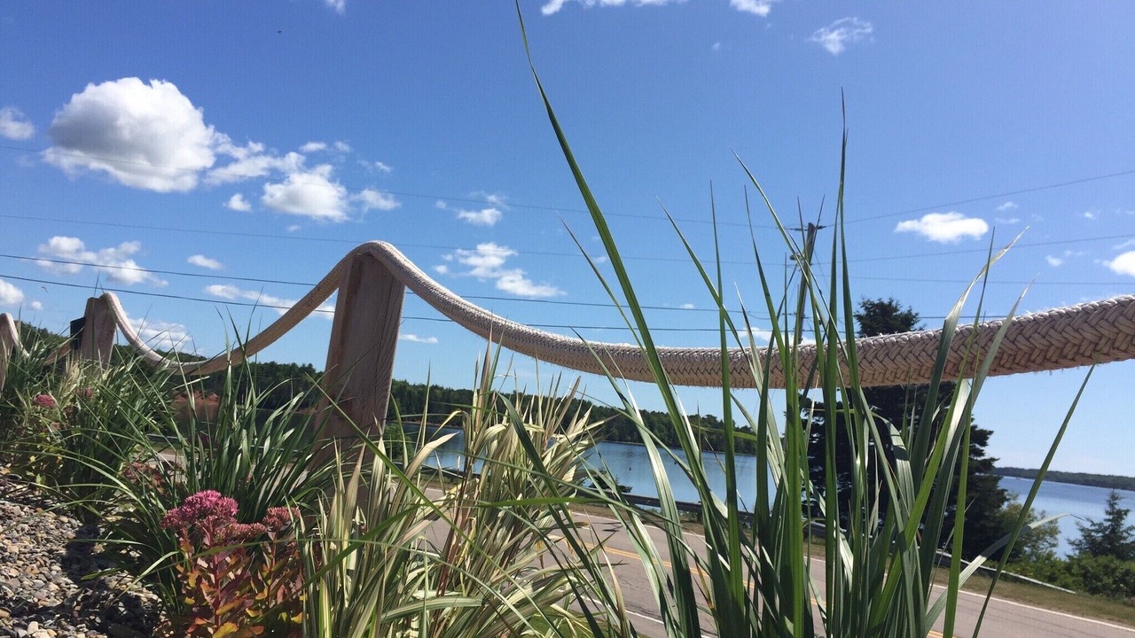 Photo of Outdoor in Cardigan