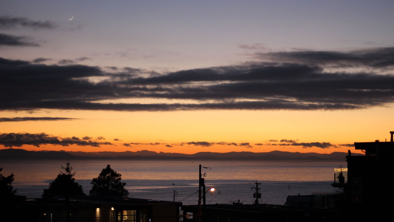 Photo of Others in White Rock