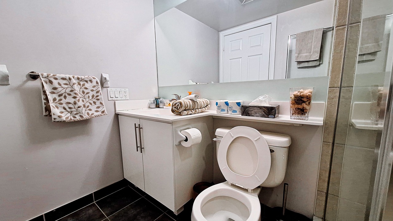 Photo of Bathroom in Downtown Mississauga