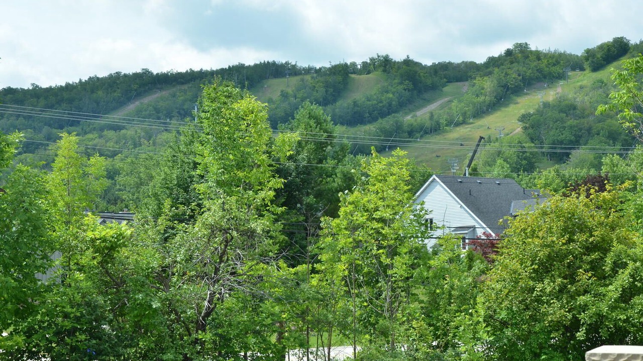 Photo of Others in Craigleith