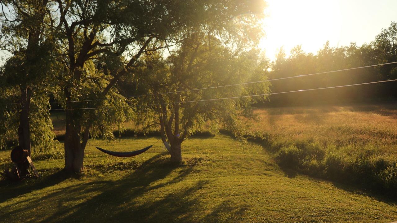 Photo of Outdoor in Amherst