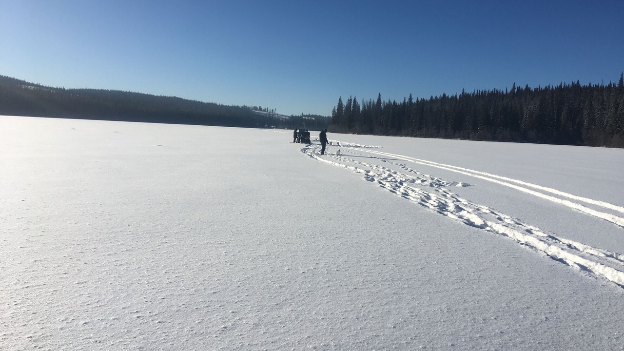 Photo of Others in Logan Lake