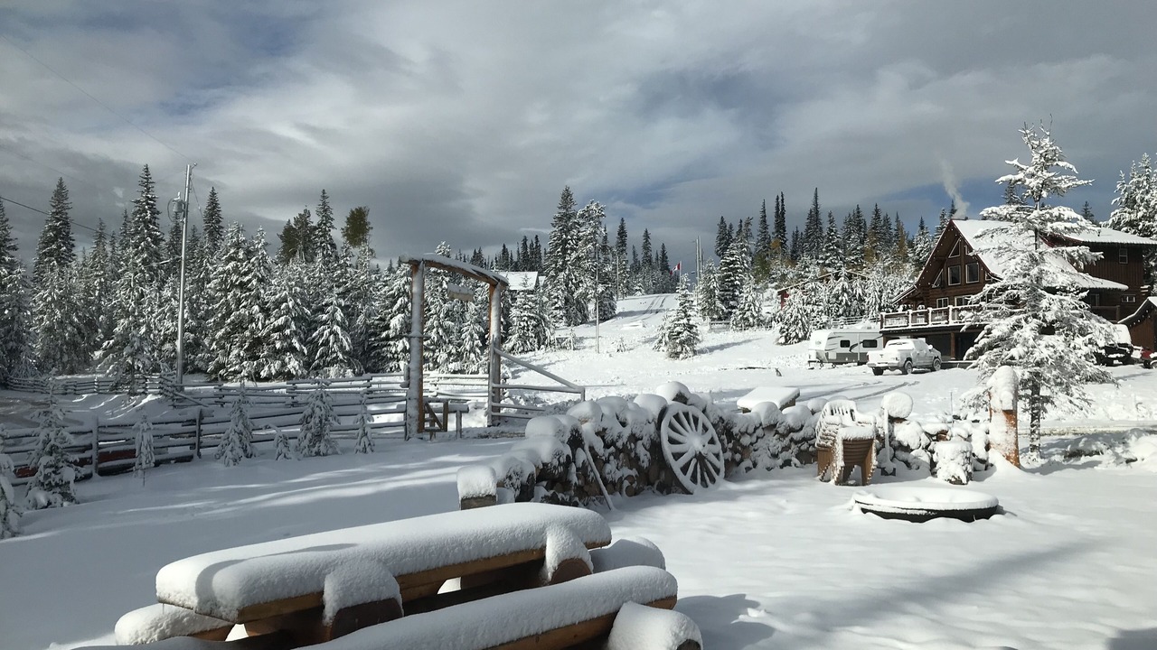 Photo of Outdoor in Logan Lake
