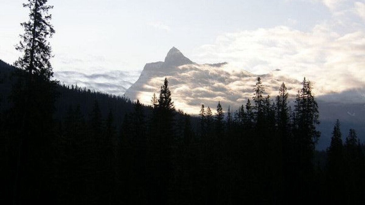 Photo of Others in Golden