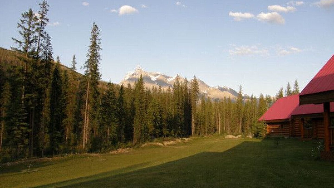 Photo of Outdoor in Golden